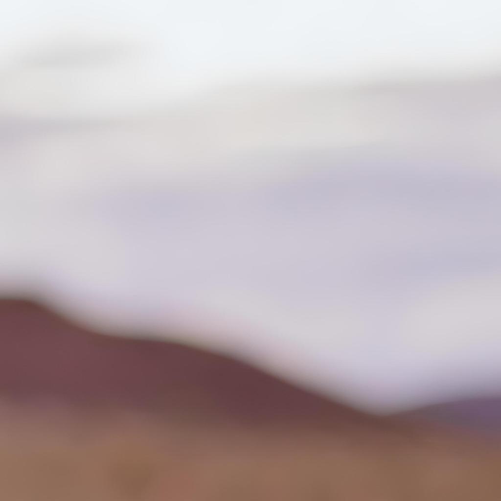 Hold everything [MSH17]